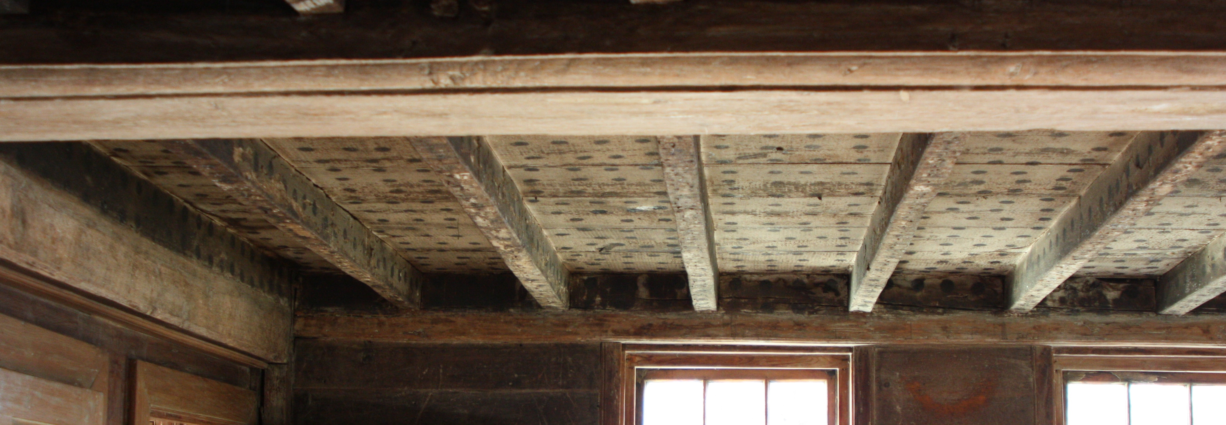 A Kitchen with a Polka Dot Ceiling